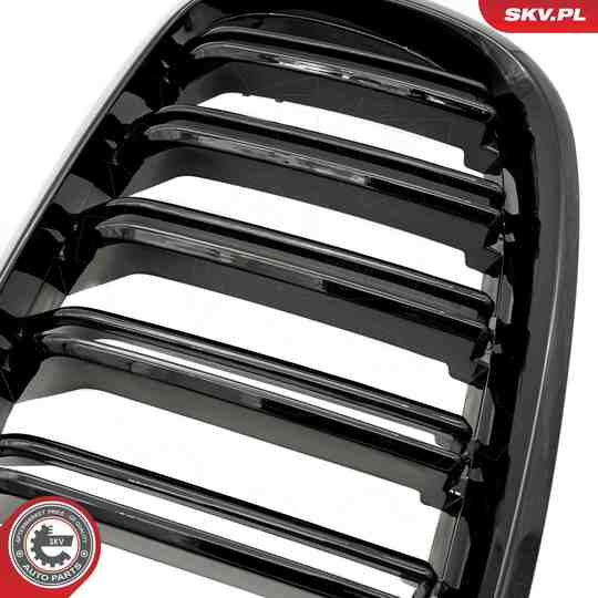 66SKV287 - Radiator Grille 