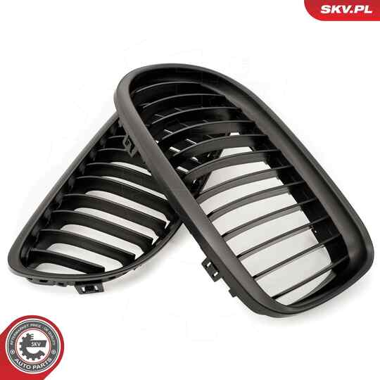 66SKV097 - Radiator Grille 