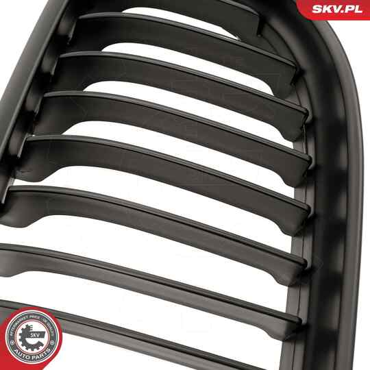 66SKV097 - Radiator Grille 