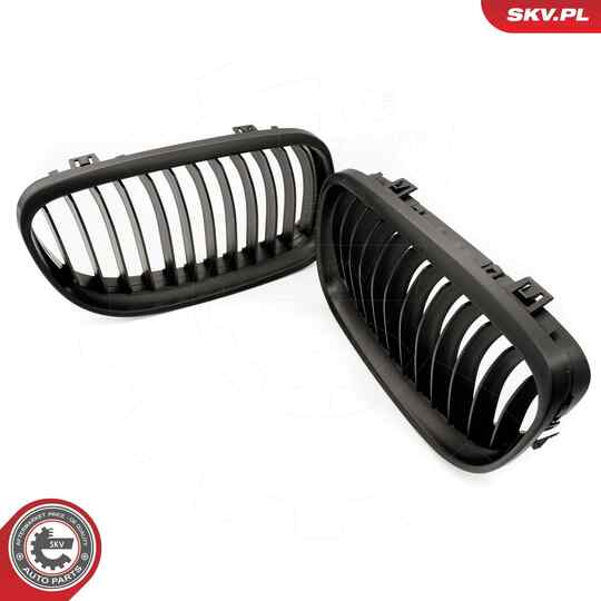 66SKV097 - Radiator Grille 