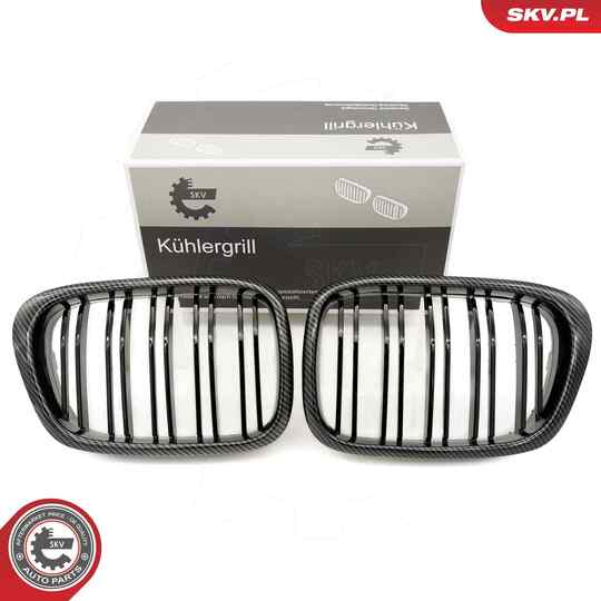 66SKV163 - Radiator Grille 