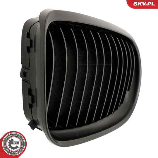 66SKV097 - Radiator Grille 