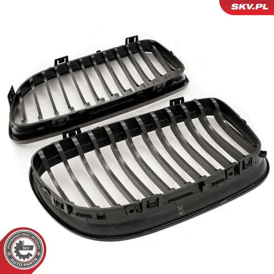 66SKV097 - Radiator Grille 