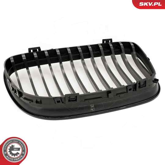 66SKV097 - Radiator Grille 