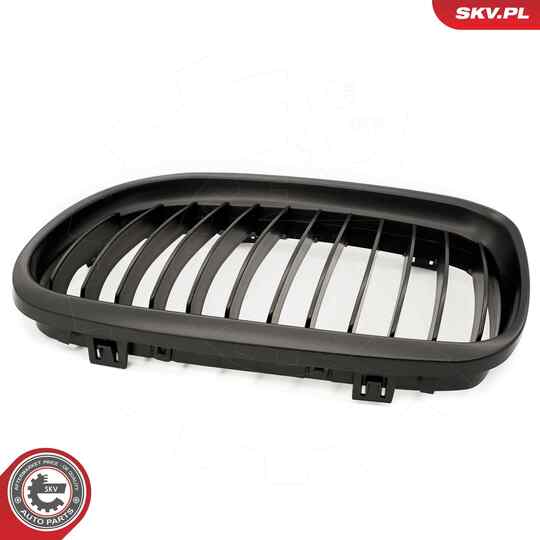 66SKV097 - Radiator Grille 