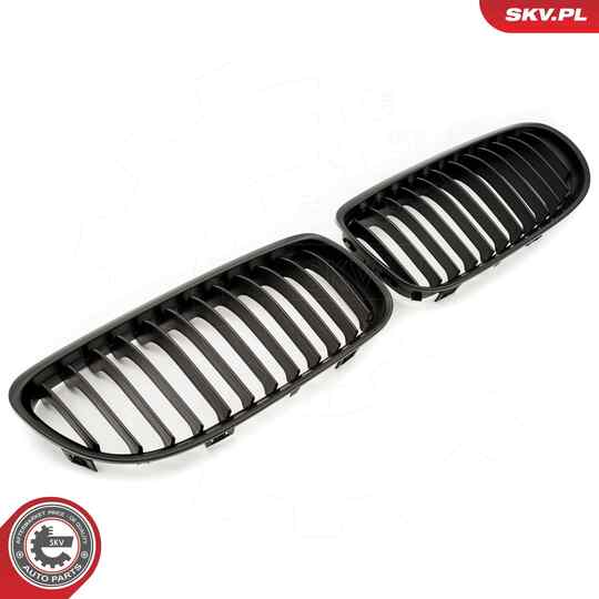 66SKV097 - Radiator Grille 