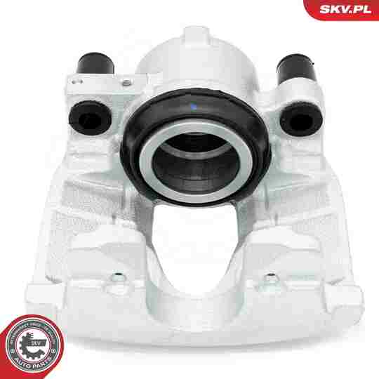 56SKV901 - Brake Caliper 