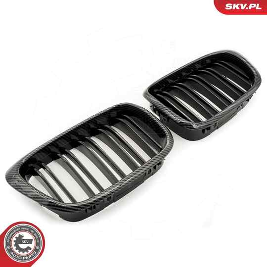 66SKV163 - Radiator Grille 