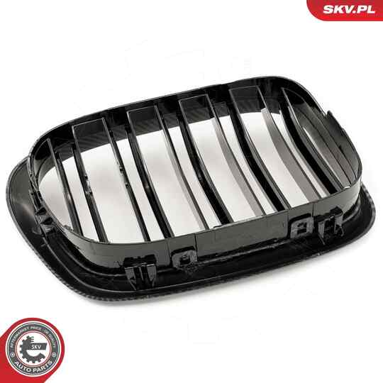 66SKV163 - Radiator Grille 