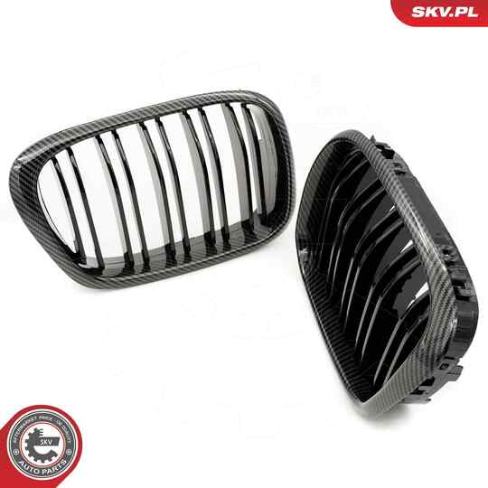 66SKV163 - Radiator Grille 