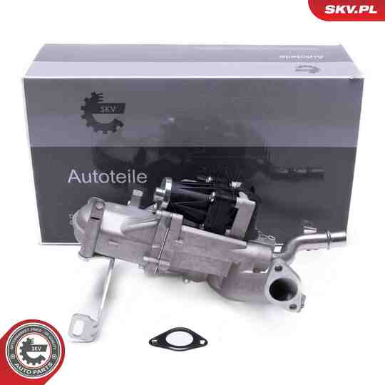 14SKV250 - EGR Valve 