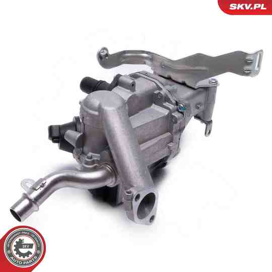 14SKV250 - EGR Valve 