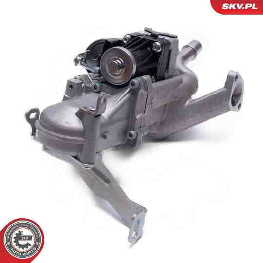 14SKV250 - EGR Valve 