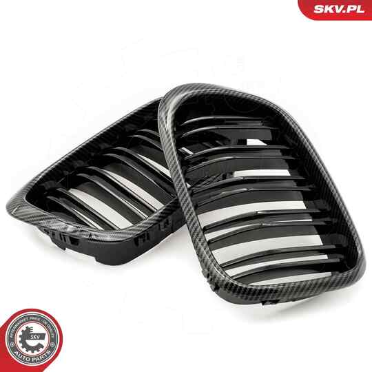 66SKV163 - Radiator Grille 