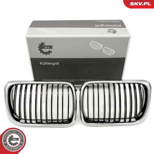 66SKV053 - Radiator Grille 