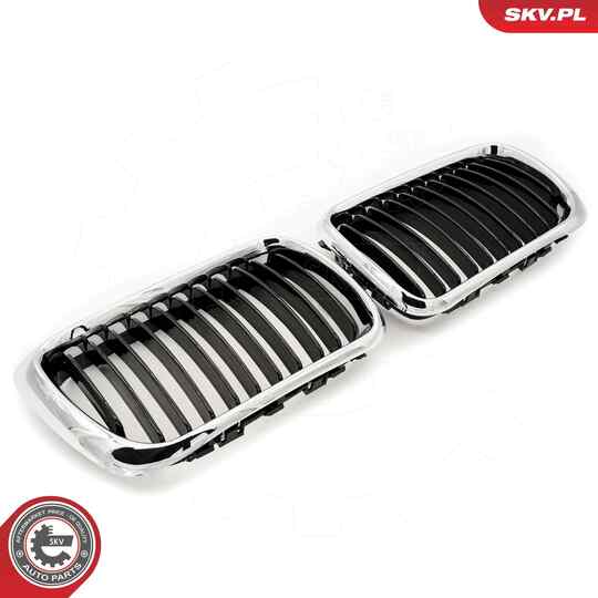 66SKV053 - Radiator Grille 