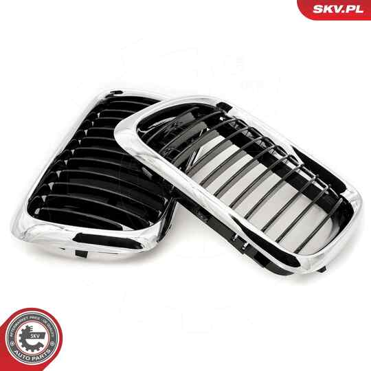 66SKV053 - Radiator Grille 