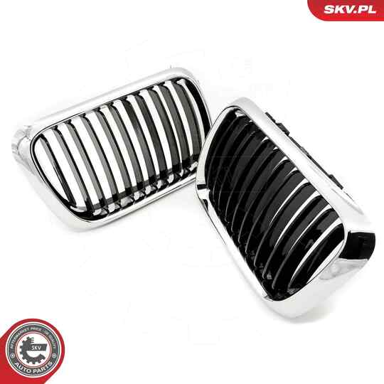 66SKV053 - Radiator Grille 