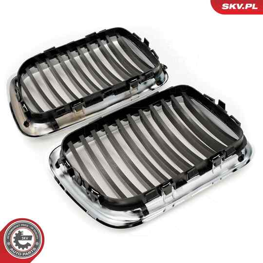 66SKV053 - Radiator Grille 