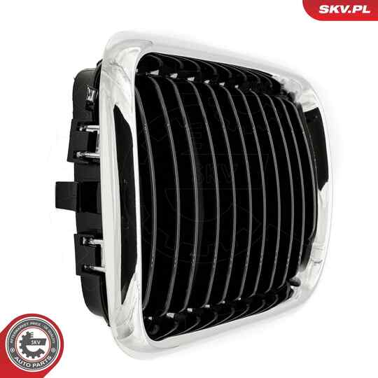 66SKV053 - Radiator Grille 