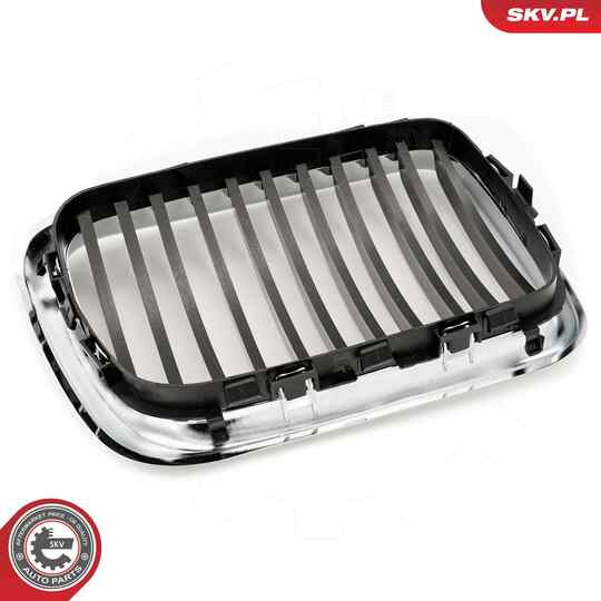 66SKV053 - Radiator Grille 