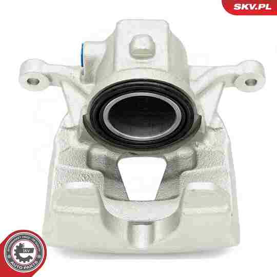 56SKV841 - Brake Caliper 