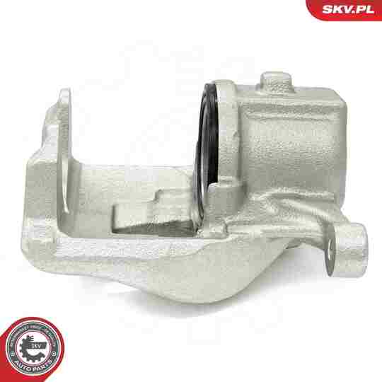 56SKV841 - Brake Caliper 