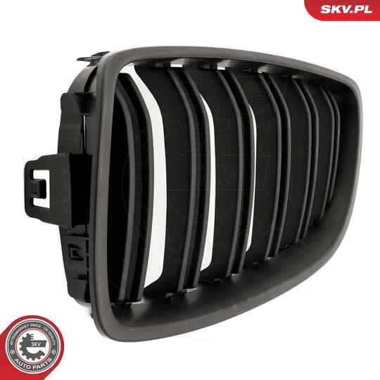 66SKV153 - Radiator Grille 