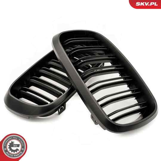 66SKV297 - Radiator Grille 