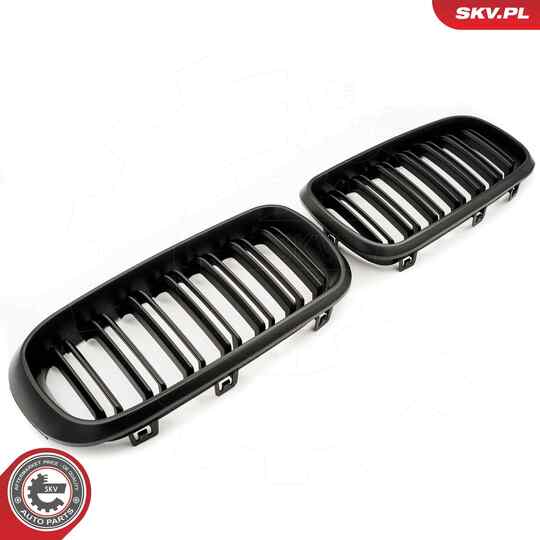 66SKV297 - Radiator Grille 