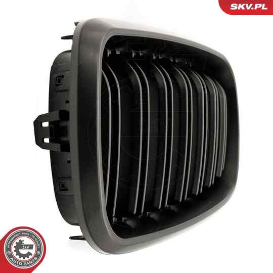 66SKV297 - Radiator Grille 