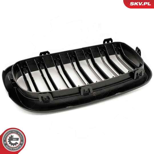 66SKV297 - Radiator Grille 