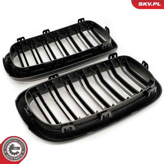 66SKV297 - Radiator Grille 