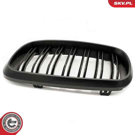 66SKV297 - Radiator Grille 