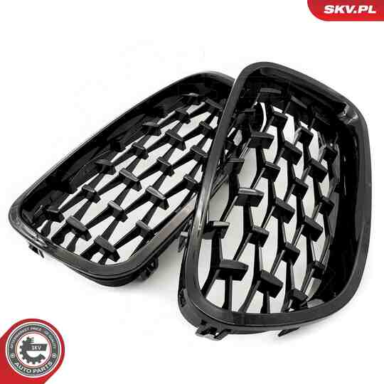 66SKV190 - Radiator Grille 