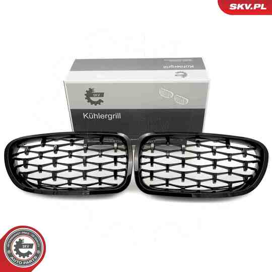 66SKV190 - Radiator Grille 