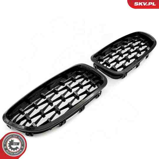 66SKV190 - Radiator Grille 