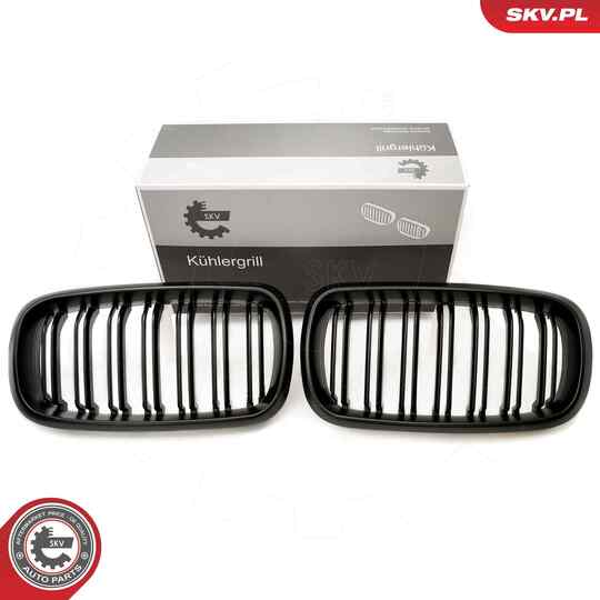 66SKV297 - Radiator Grille 