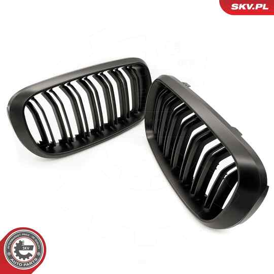 66SKV297 - Radiator Grille 