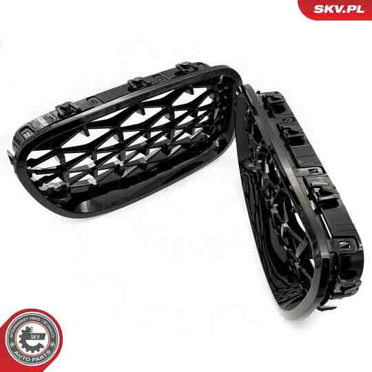 66SKV190 - Radiator Grille 