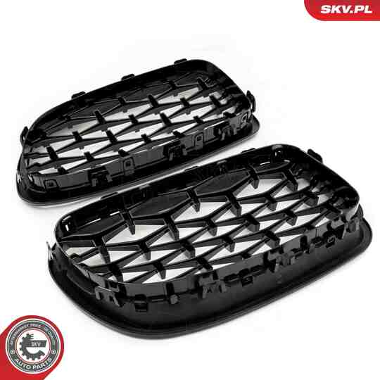 66SKV190 - Radiator Grille 