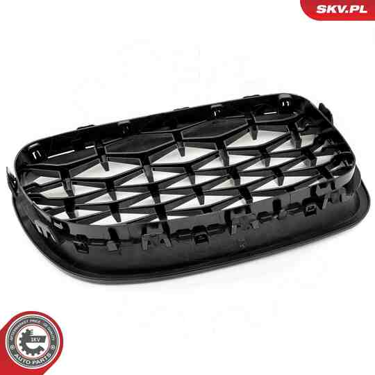 66SKV190 - Radiator Grille 