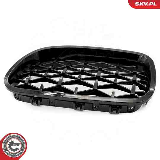 66SKV190 - Radiator Grille 