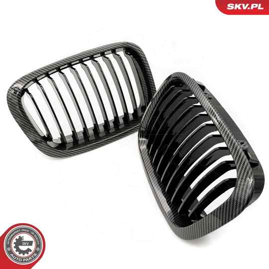 66SKV065 - Radiator Grille 