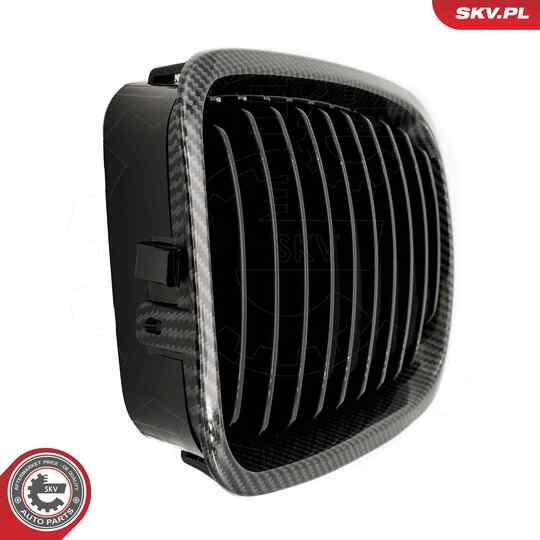 66SKV065 - Radiator Grille 