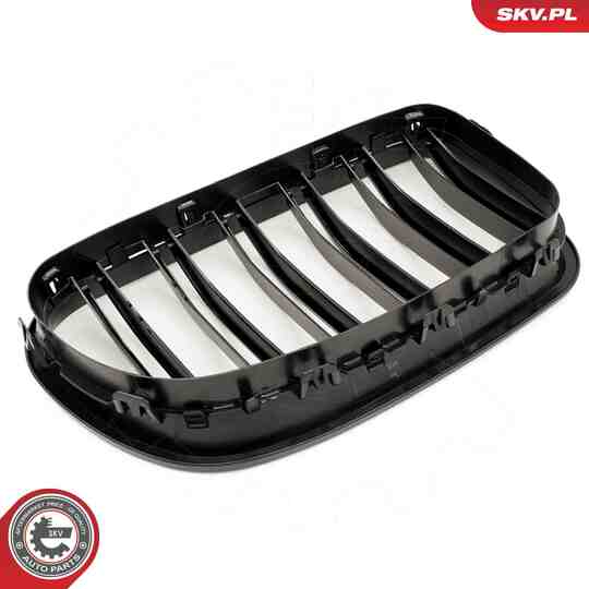 66SKV185 - Radiator Grille 