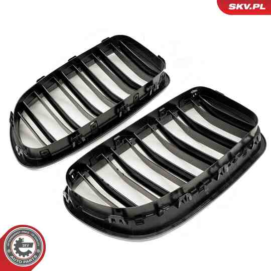 66SKV185 - Radiator Grille 