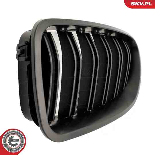 66SKV185 - Radiator Grille 