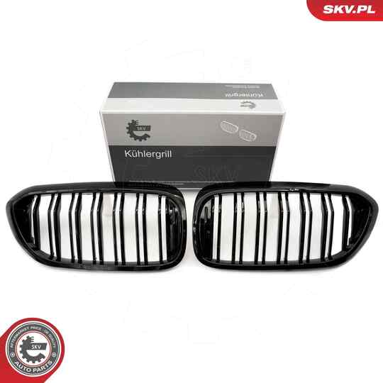 66SKV193 - Radiator Grille 