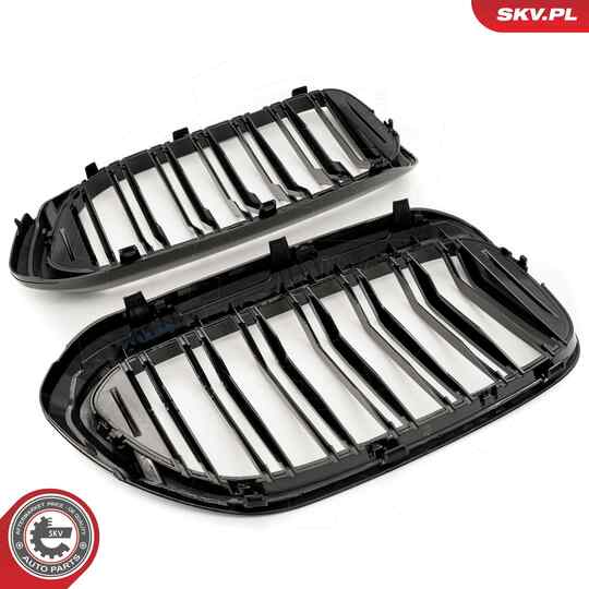 66SKV193 - Radiator Grille 